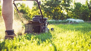 Uzyskaj piękny, zadbany trawnik: Sekrety pielęgnacji i rola kosiarek elektrycznych